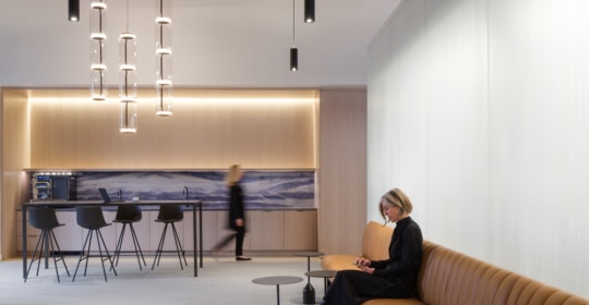 Skyline Design-The Raine Group