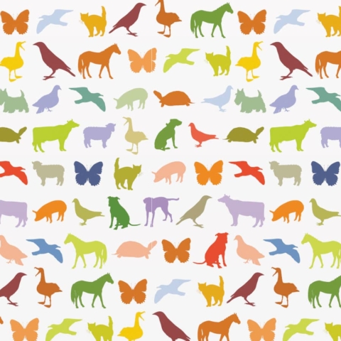 Skyline Design-Animals