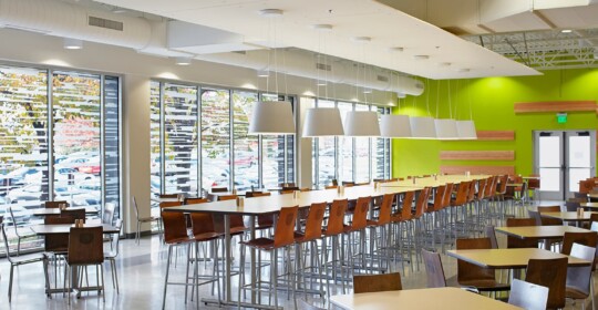 Skyline Design-MSU Garst