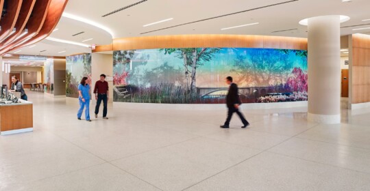 Skyline Design-Montefiore Medical Center