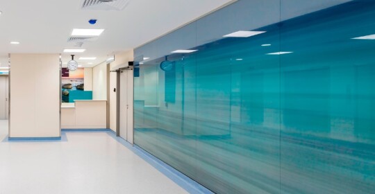 Skyline Design-Aseer Central Hospital