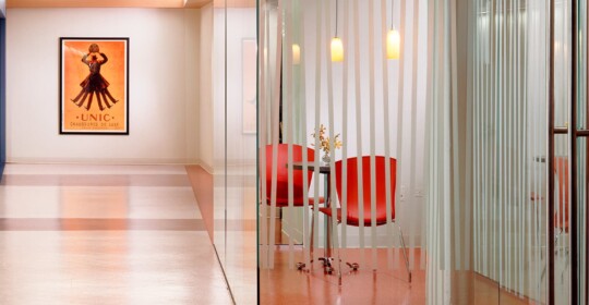 Skyline Design-American Dental Association