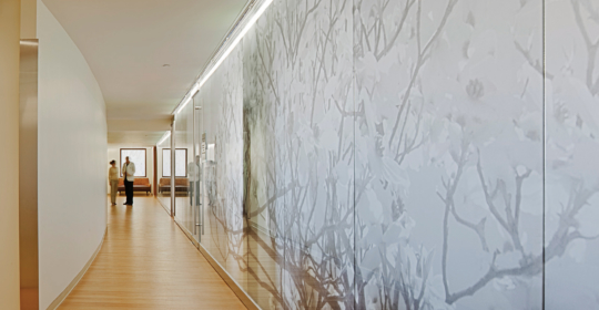 Skyline Design-Columbia Prenatal Pediatric Clinic