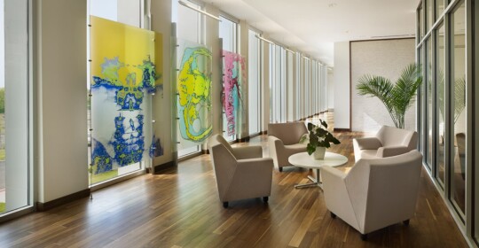 Skyline Design-Bracco Diagnostics