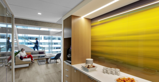Skyline Design-DC Law Firm