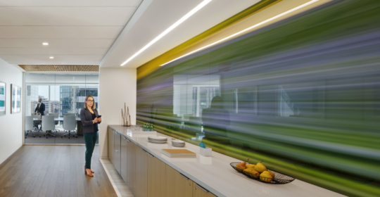 Skyline Design-DC Law Firm