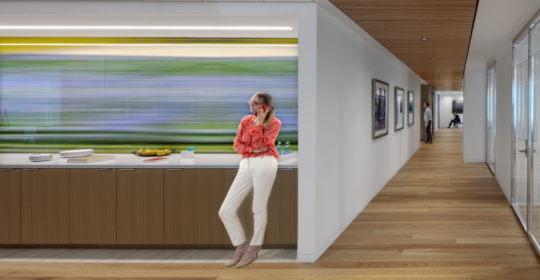 Skyline Design-DC Law Firm