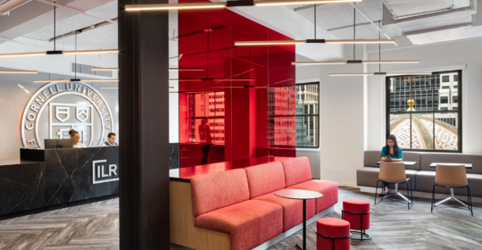 Skyline Design-Cornell University ILR