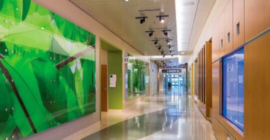 Skyline Design-Kaiser Permanente Oakland