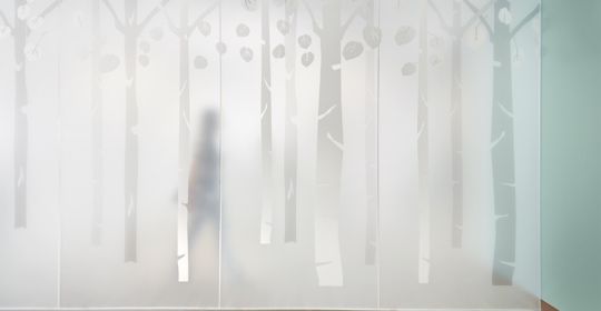 Skyline Design-Healthcare Client by Polytech