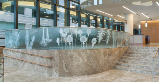 Skyline Design-Dana Farber Yawkey Center for Cancer Care