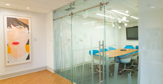 Skyline Design-Angie Fowler Cancer Institute - Meeting Room