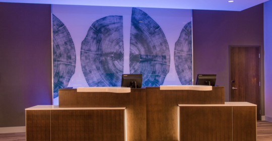 Skyline Design-Fairfield Inn and Suites