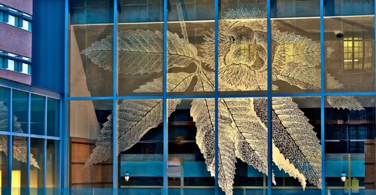 Skyline Design-Lehigh University