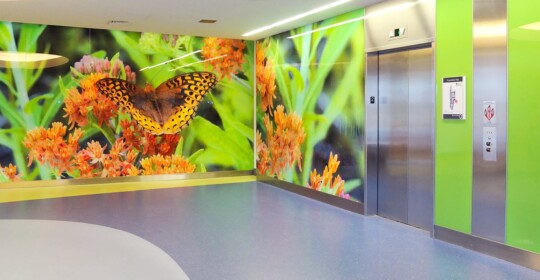 Skyline Design-Penn State Hershey Children's Hospital