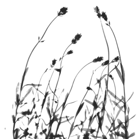 Skyline Design-Lavender 1 by Zeva Oelbaum