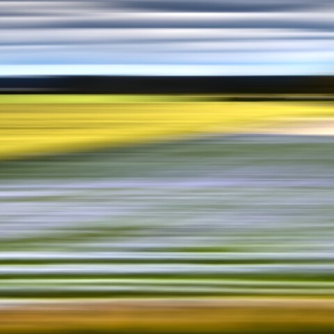 Skyline Design-Lavender Weeds by Bonnie Edelman