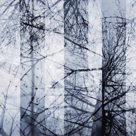 Skyline Design-Neil's Branches by Doug Fogelson