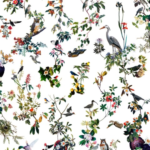 Skyline Design-New World by Francesco Simeti