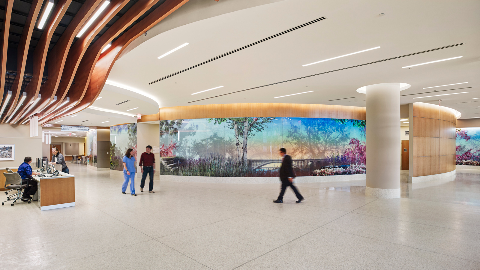 Skyline Design-Healthcare