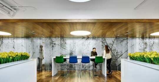 Skyline Design-Peter Cooper Village Stuyvesant Town