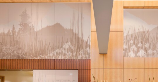 Skyline Design-Baystate Health