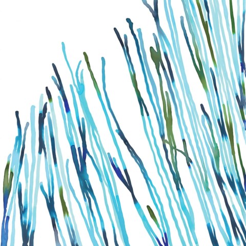 Skyline Design-Seagrass by Susan Hable Smith