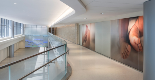 Skyline Design-Advocate Christ Medical