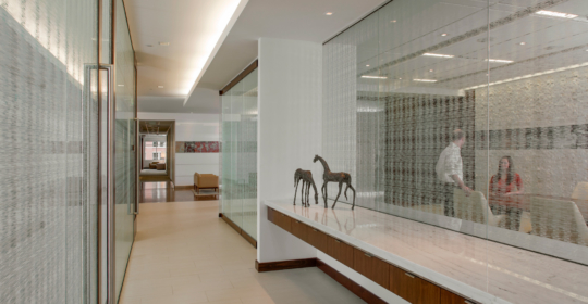 Skyline Design-Dorsey & Whitney