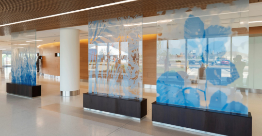 Skyline Design-Summa Health