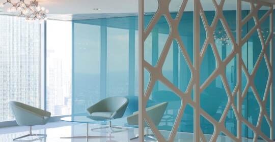 Skyline Design-University Health Systems Consortium