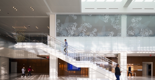 Skyline Design-The New Valley Hospital