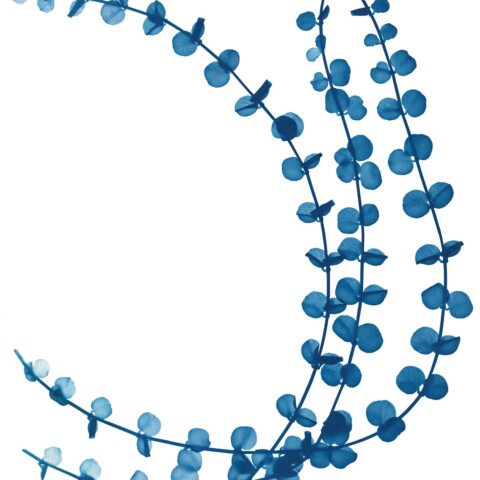 Skyline Design-Vine 1 by Zeva Oelbaum