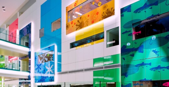 Skyline Design-Denver Children's Hospital