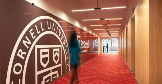 Skyline Design-Cornell University ILR Wall-Cladding