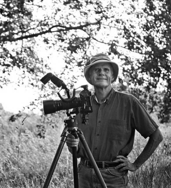 Skyline Design-Henry Domke