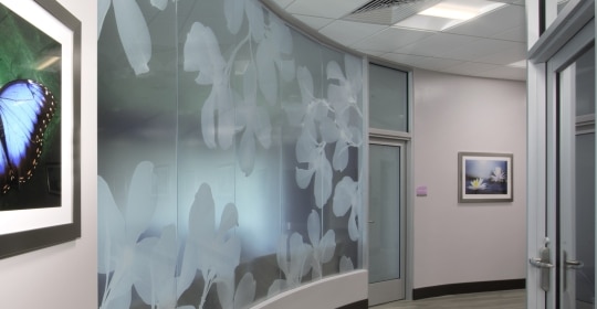 Skyline Design-Leon Medical Kendall